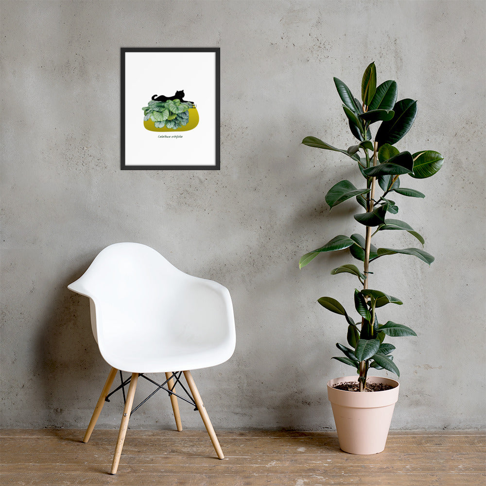 Calathea Framed poster