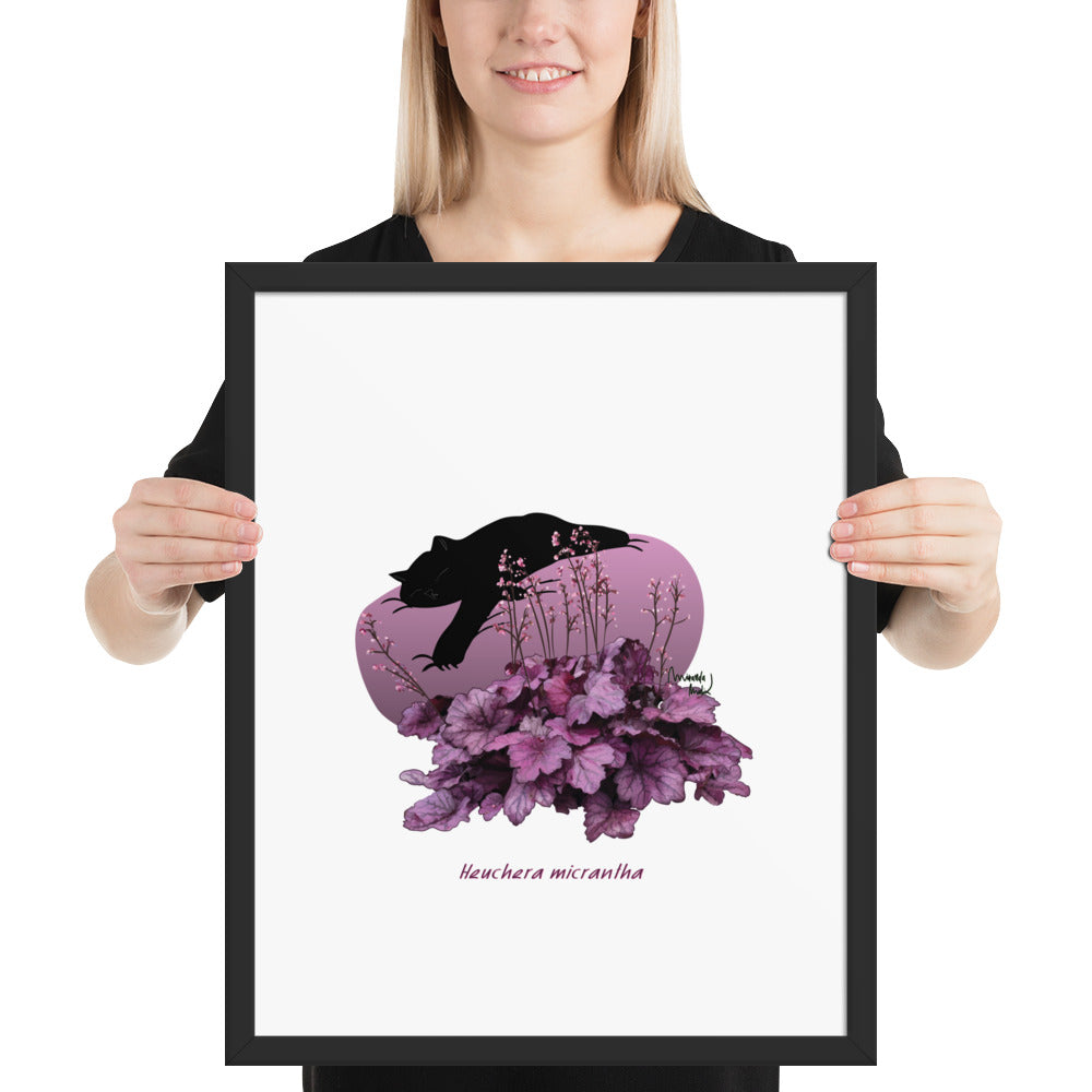 Heuchera Framed poster