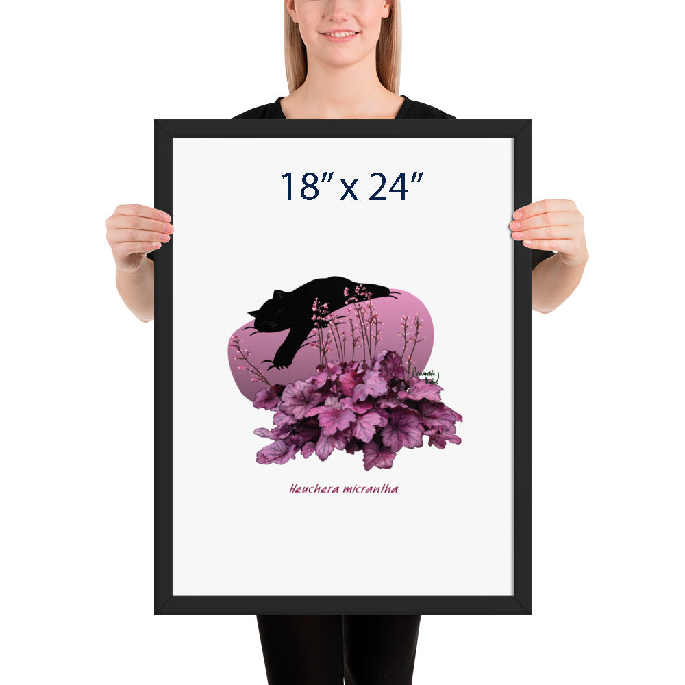 Heuchera Framed poster