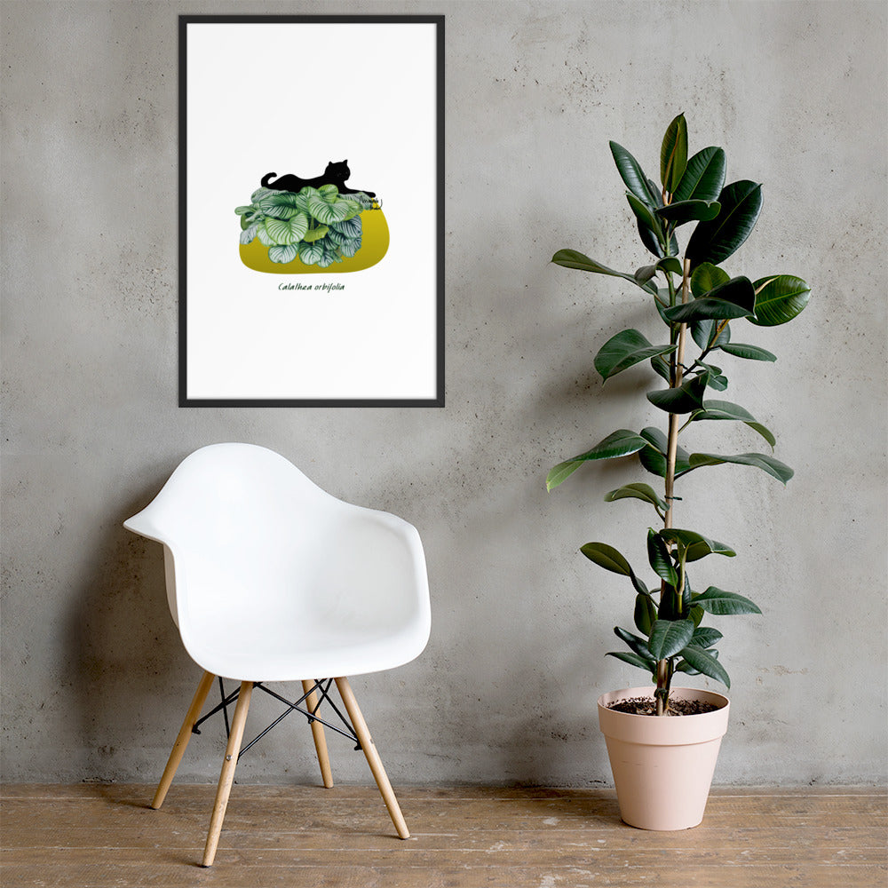 Calathea Framed poster