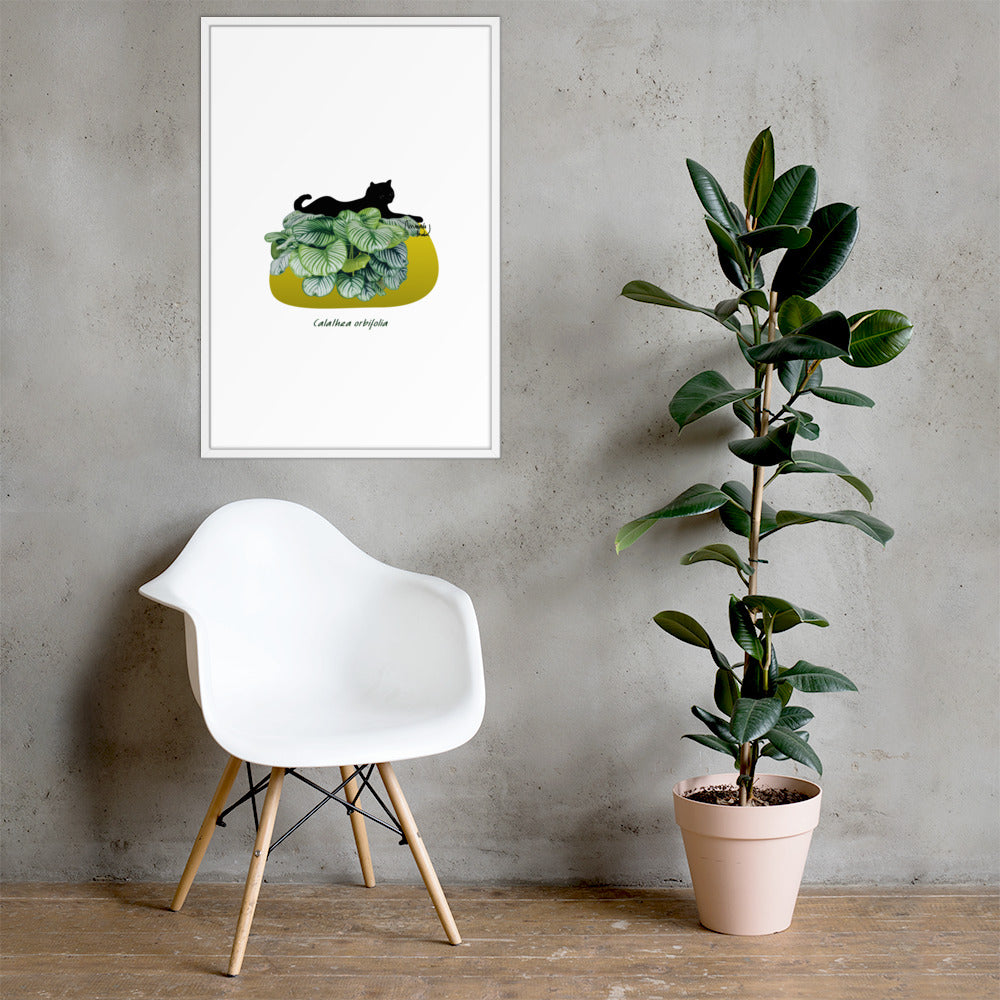 Calathea Framed poster