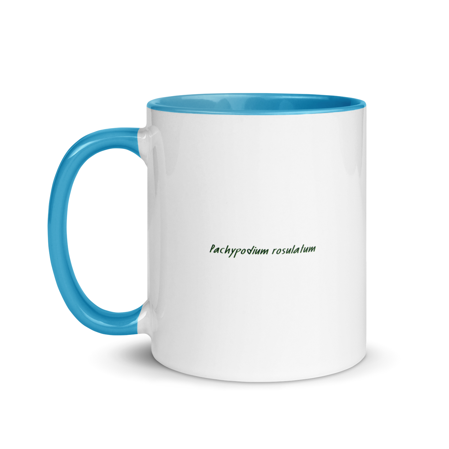 Pachypodium Mug Blue Inside