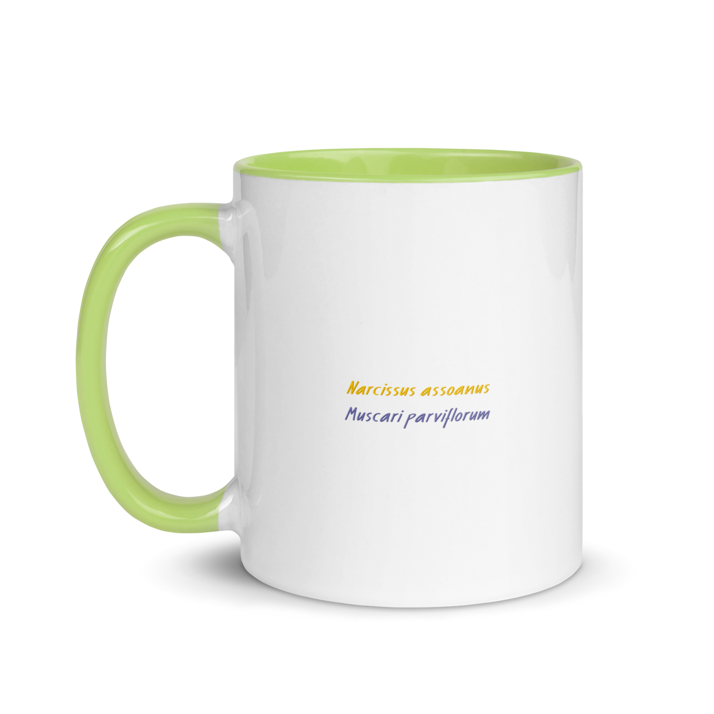 Narcissus Mug Green Inside